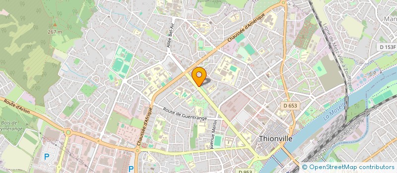 localisation de l'entreprise MADAME CHRISTELE NOUTCHA-KEMYIN  THIONVILLE