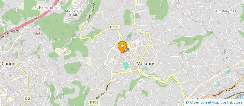 localisation de l'entreprise MADAME CHRISTELLE ANDRIOLLO  VALLAURIS