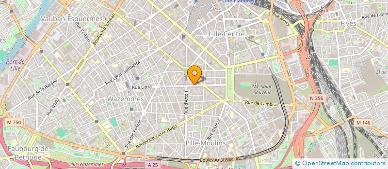 localisation de l'entreprise MADAME CHRISTELLE ARAUJO  LILLE