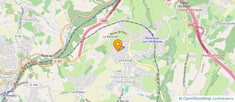 localisation de l'entreprise MADAME CHRISTELLE AUROY  FLEURIEUX-SUR-L'ARBRESLE