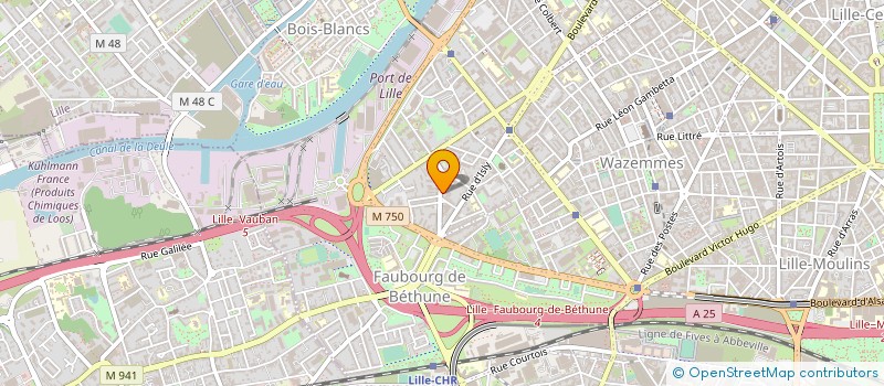 localisation de l'entreprise MADAME CHRISTELLE BAUDUIN à LILLE