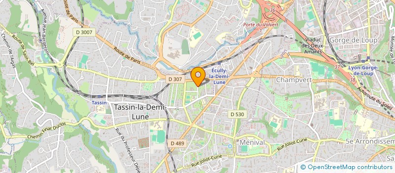 localisation de l'entreprise MADAME CHRISTELLE BECAM  TASSIN-LA-DEMI-LUNE