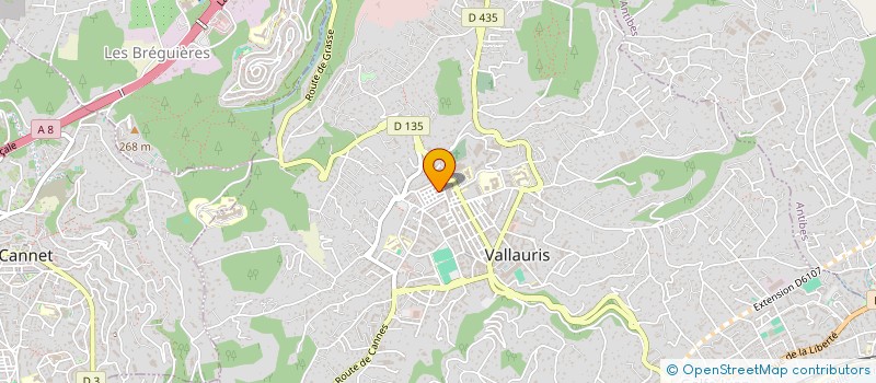 localisation de l'entreprise MADAME CHRISTELLE BELLENGE à VALLAURIS