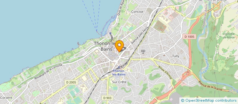 localisation de l'entreprise MADAME CHRISTELLE BOSSUS à THONON-LES-BAINS
