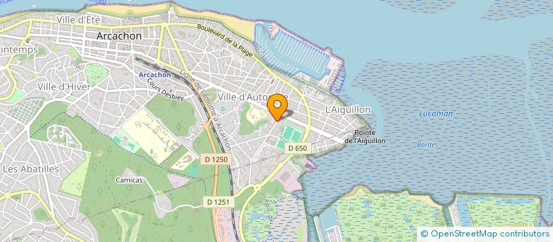 localisation de l'entreprise MADAME CHRISTELLE BOUILLET  ARCACHON