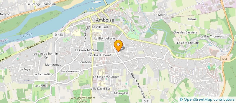 localisation de l'entreprise MADAME CHRISTELLE BOULLAIN  AMBOISE