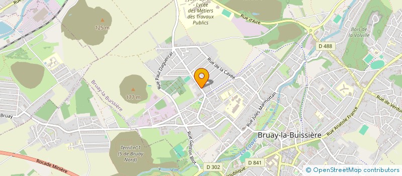 localisation de l'entreprise MADAME CHRISTELLE BOULOGNE  BRUAY-LA-BUISSIERE