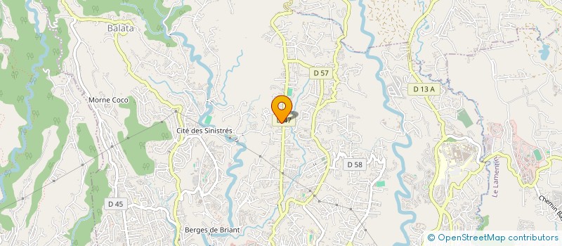 localisation de l'entreprise MADAME CHRISTELLE BYRON  FORT-DE-FRANCE