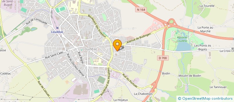 localisation de l'entreprise MADAME CHRISTELLE CADIO à LOUDEAC