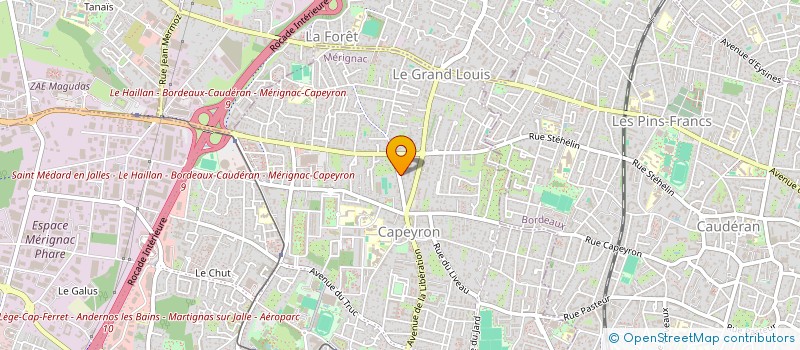 localisation de l'entreprise MADAME CHRISTELLE CHEVASSIER  MERIGNAC