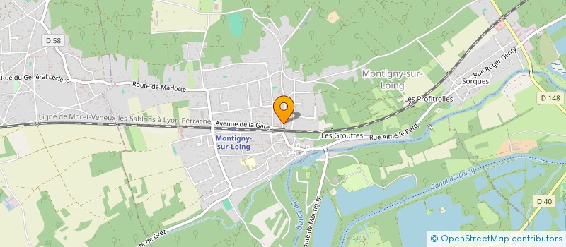 localisation de l'entreprise MADAME CHRISTELLE DE ARAUJO  MONTIGNY-SUR-LOING