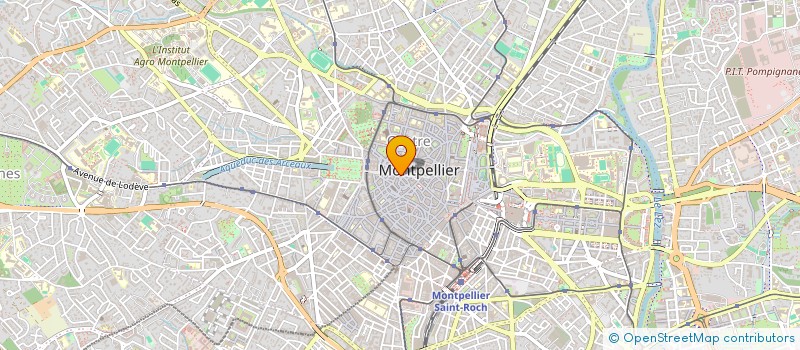 localisation de l'entreprise MADAME CHRISTELLE DELEGLISE à MONTPELLIER