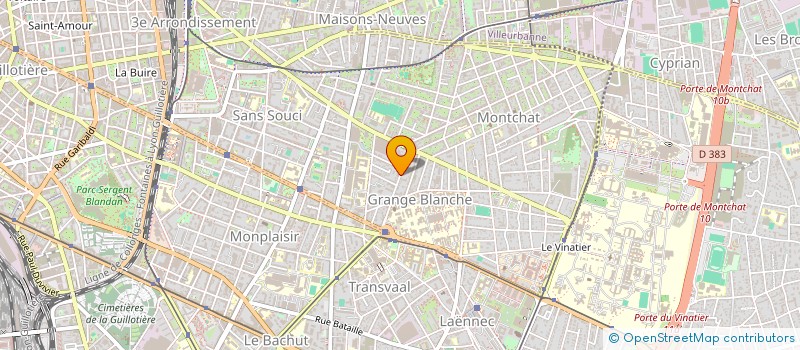 localisation de l'entreprise MADAME CHRISTELLE DELHOUSTAL  LYON