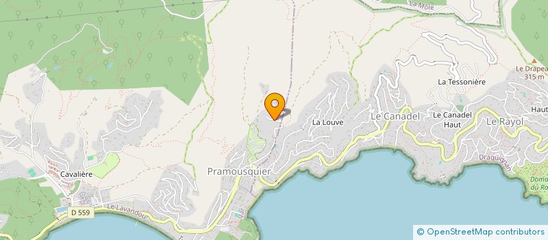 localisation de l'entreprise MADAME CHRISTELLE DELMAS à LE LAVANDOU