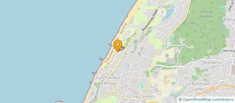 localisation de l'entreprise MADAME CHRISTELLE DESCAT  ANGLET