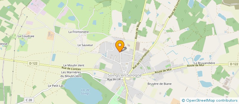 localisation de l'entreprise MADAME CHRISTELLE DESCHAMPS  SOINGS-EN-SOLOGNE