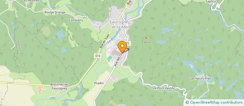 localisation de l'entreprise MADAME CHRISTELLE DEVOILLE  SAINT-NABORD