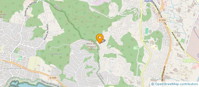 localisation de l'entreprise MADAME CHRISTELLE DEWASCH  HYERES