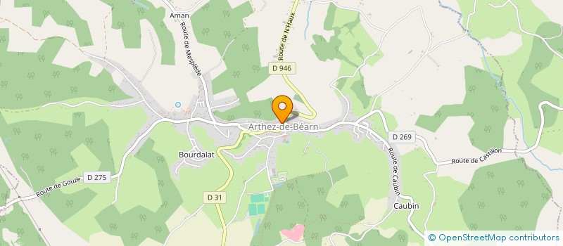 localisation de l'entreprise MADAME CHRISTELLE ETCHEGOYHEN  ARTHEZ-DE-BEARN