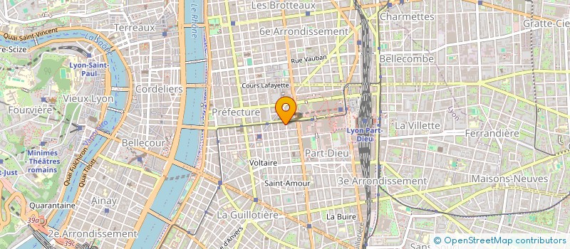 localisation de l'entreprise MADAME CHRISTELLE FONTAINE  LYON