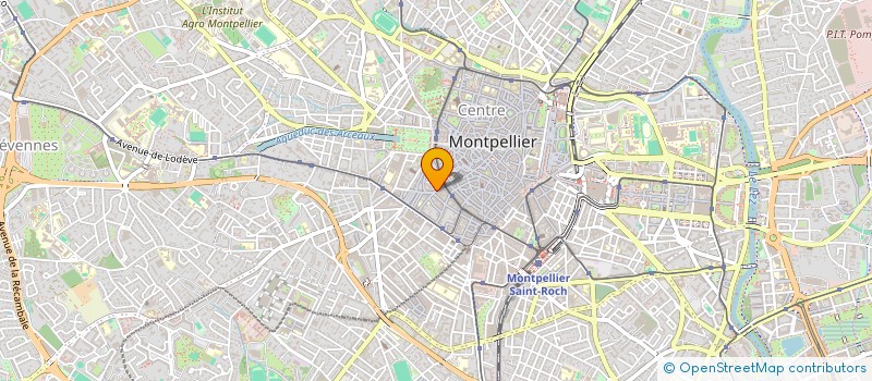 localisation de l'entreprise MADAME CHRISTELLE GODEFROY à MONTPELLIER