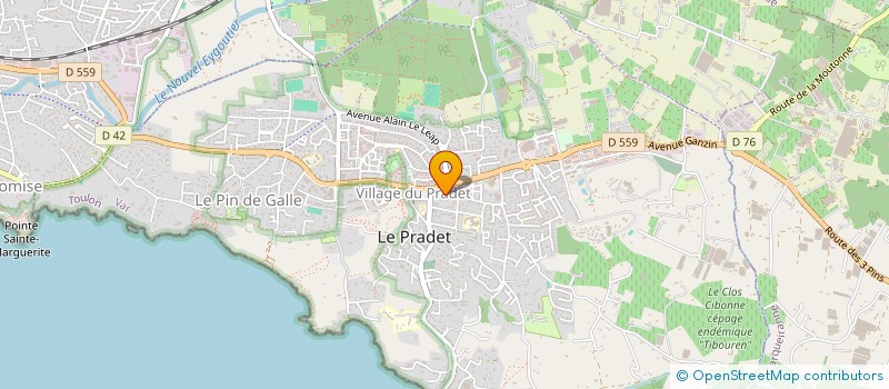 localisation de l'entreprise MADAME CHRISTELLE GUIBERGIA  LE PRADET