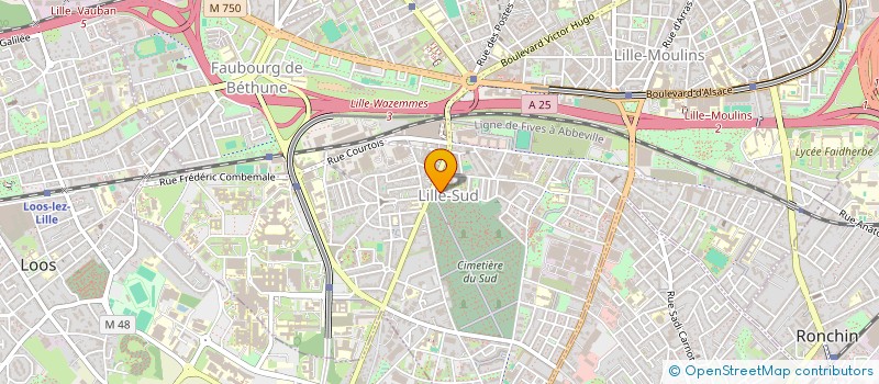 localisation de l'entreprise MADAME CHRISTELLE JOSEPH  LILLE