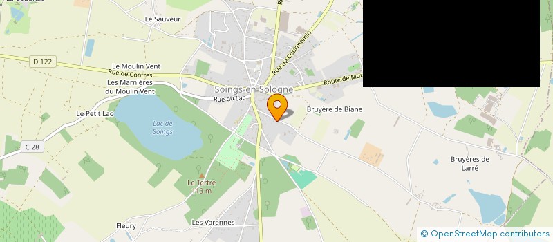 localisation de l'entreprise MADAME CHRISTELLE LANGEVIN  SOINGS-EN-SOLOGNE