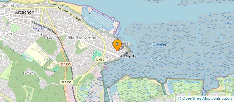 localisation de l'entreprise MADAME CHRISTELLE MARAQUE  ARCACHON