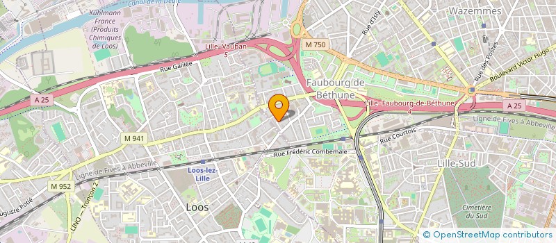 localisation de l'entreprise MADAME CHRISTELLE MASSEZ à LILLE