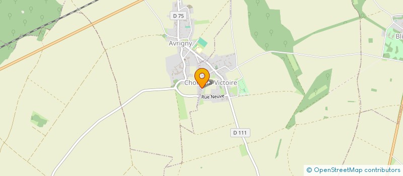 localisation de l'entreprise MADAME CHRISTELLE MOULIN  CHOISY-LA-VICTOIRE