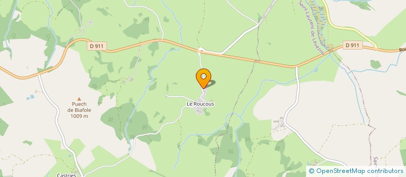 localisation de l'entreprise MADAME CHRISTELLE NAYROLLES  VEZINS-DE-LEVEZOU