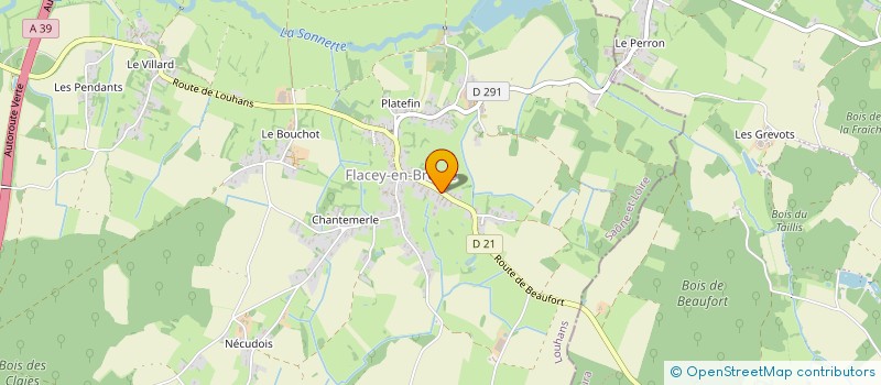 localisation de l'entreprise MADAME CHRISTELLE PICAUD  FLACEY-EN-BRESSE