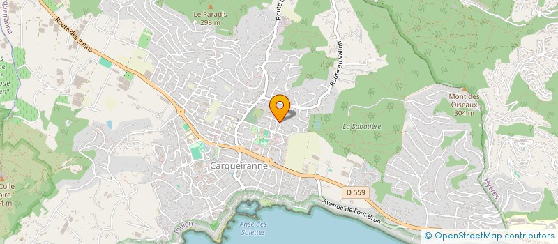 localisation de l'entreprise MADAME CHRISTELLE SPEHNER  CARQUEIRANNE