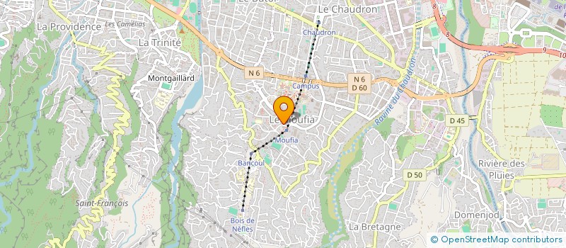 localisation de l'entreprise MADAME CHRISTELLE VANDESCHRICKE à SAINT-DENIS