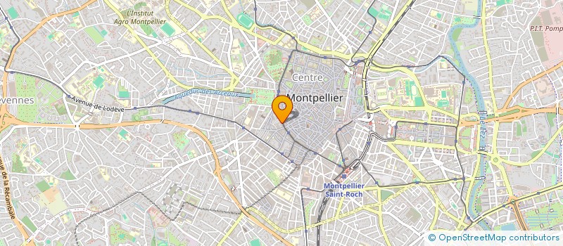 localisation de l'entreprise MADAME CHRISTELLE VAYSSADE à MONTPELLIER