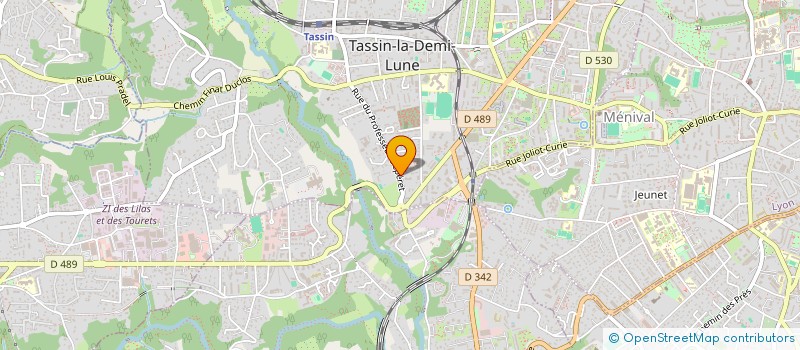 localisation de l'entreprise MADAME CHRISTELLE ZAMORA  TASSIN-LA-DEMI-LUNE