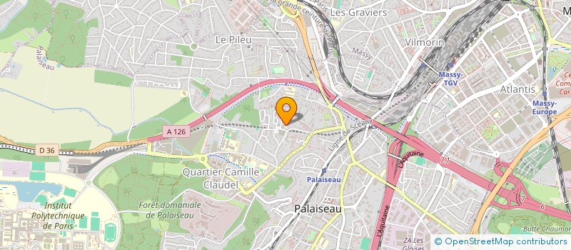 localisation de l'entreprise MADAME CHRISTIANA BADEMOSI à PALAISEAU