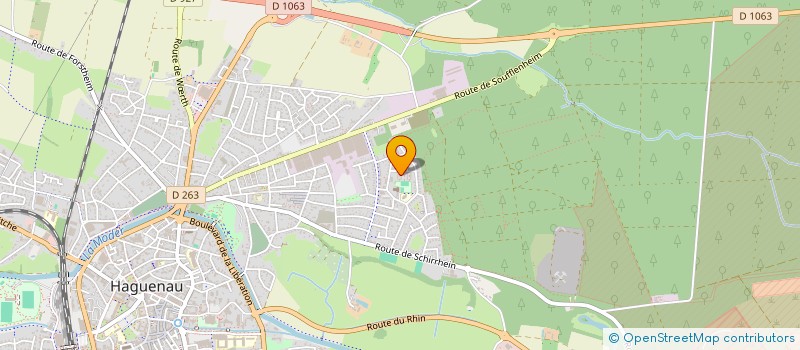 localisation de l'entreprise MADAME CHRISTIANE BENNI  HAGUENAU