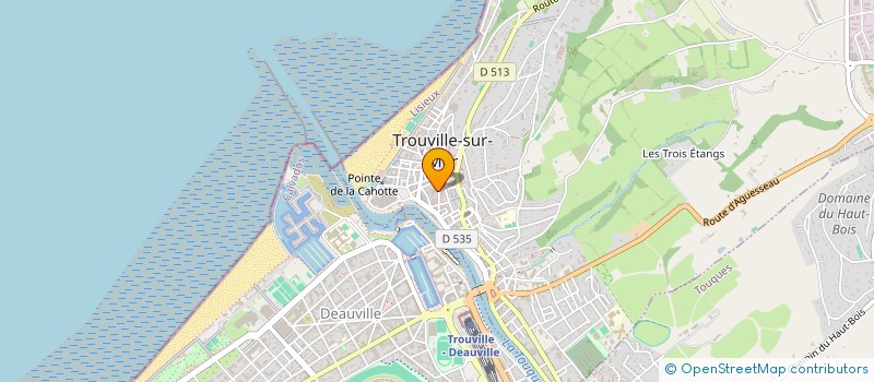 localisation de l'entreprise MADAME CHRISTIANE BERTHELOT à TROUVILLE-SUR-MER