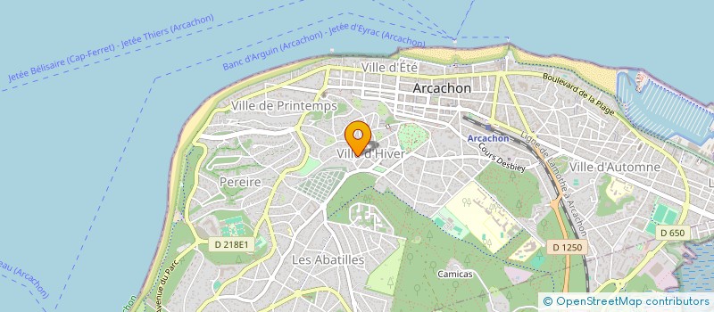 localisation de l'entreprise MADAME CHRISTIANE CARLES  ARCACHON