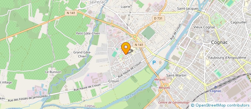 localisation de l'entreprise MADAME CHRISTIANE CHASSERIAUD à COGNAC