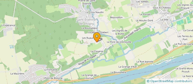 localisation de l'entreprise MADAME CHRISTIANE GAUTIER  SAINT-ETIENNE-DE-CHIGNY