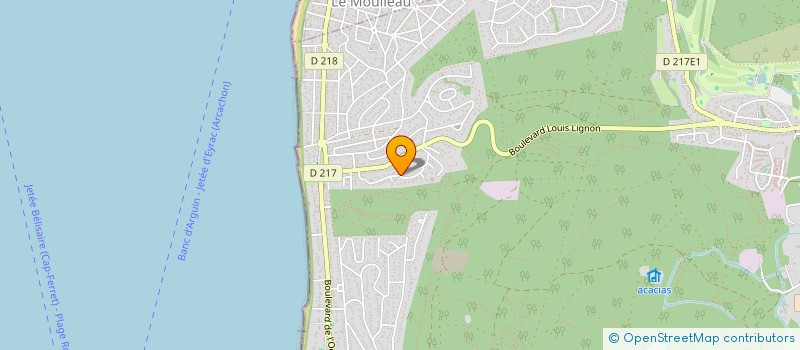 localisation de l'entreprise MADAME CHRISTIANE GOUILLARDET  LA TESTE-DE-BUCH