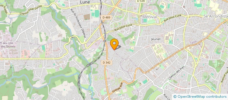 localisation de l'entreprise MADAME CHRISTIANE LE RUDULIER  LYON