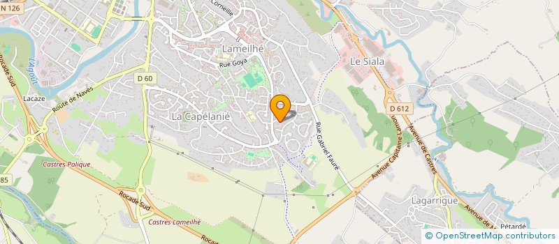 localisation de l'entreprise MADAME CHRISTIANE LOUVET  CASTRES