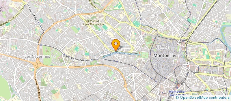 localisation de l'entreprise MADAME CHRISTIANE MESSELEKA à MONTPELLIER