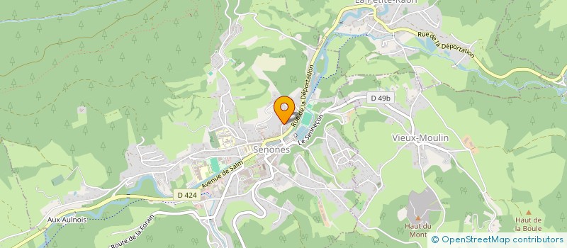 localisation de l'entreprise MADAME CHRISTIANE MICHEL  SENONES