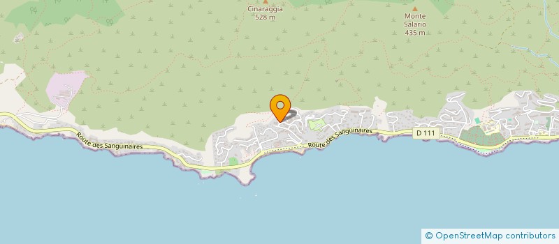 localisation de l'entreprise MADAME CHRISTIANE NEVCHEHIRLIAN  AJACCIO