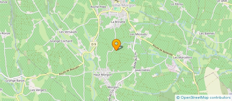 localisation de l'entreprise MADAME CHRISTIANE PERRAUD à VILLIE-MORGON